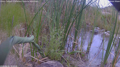 view from Pakoon Springs Stream Side on 2026-08-09