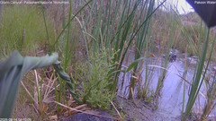 view from Pakoon Springs Stream Side on 2026-08-14