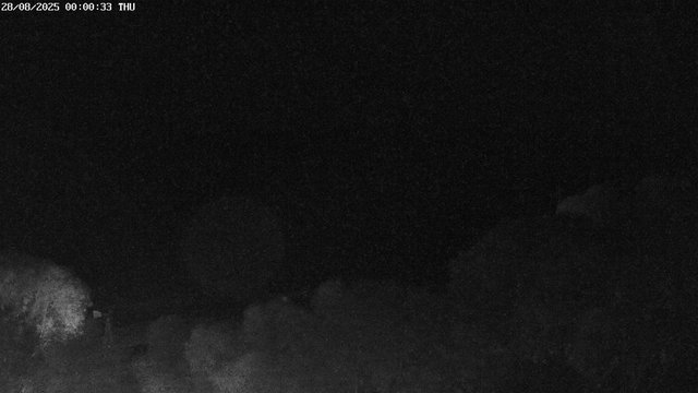 time-lapse frame, East webcam