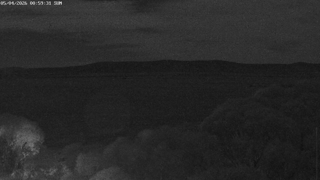time-lapse frame, East webcam