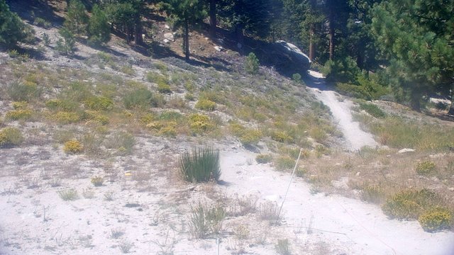 view from Snow Valley Peak Cam on 2026-08-23