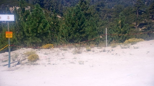 view from Snow Valley Peak Cam on 2026-09-03