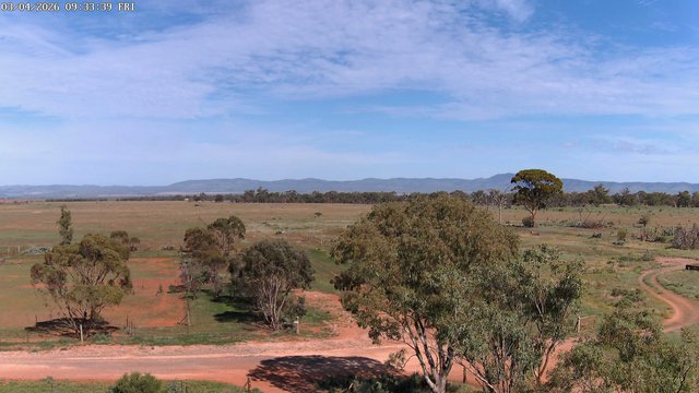 time-lapse frame, West webcam