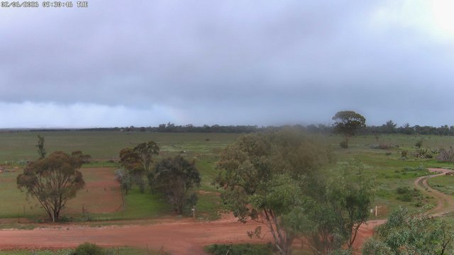 time-lapse frame, West webcam
