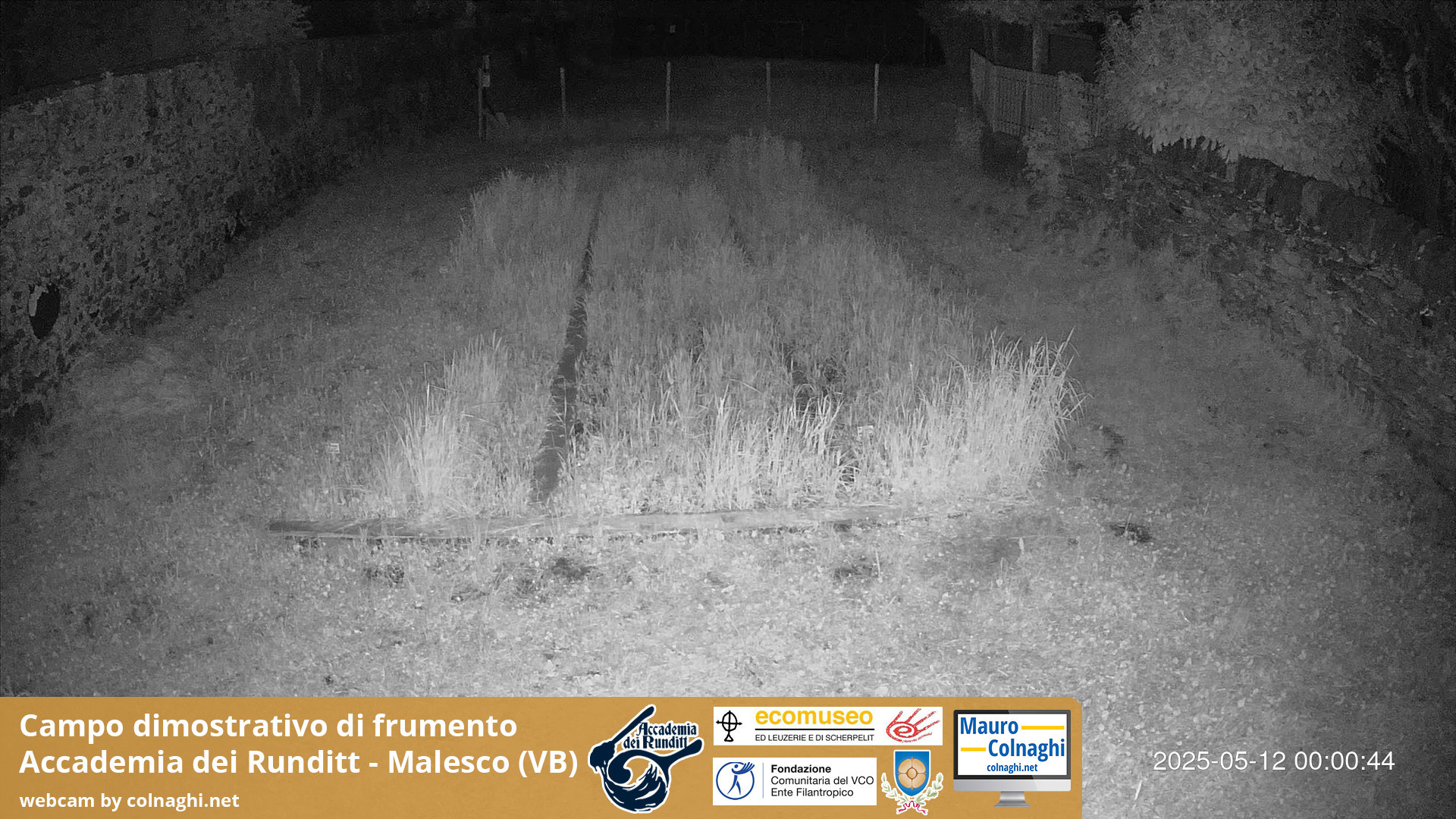 time-lapse frame, Grano webcam