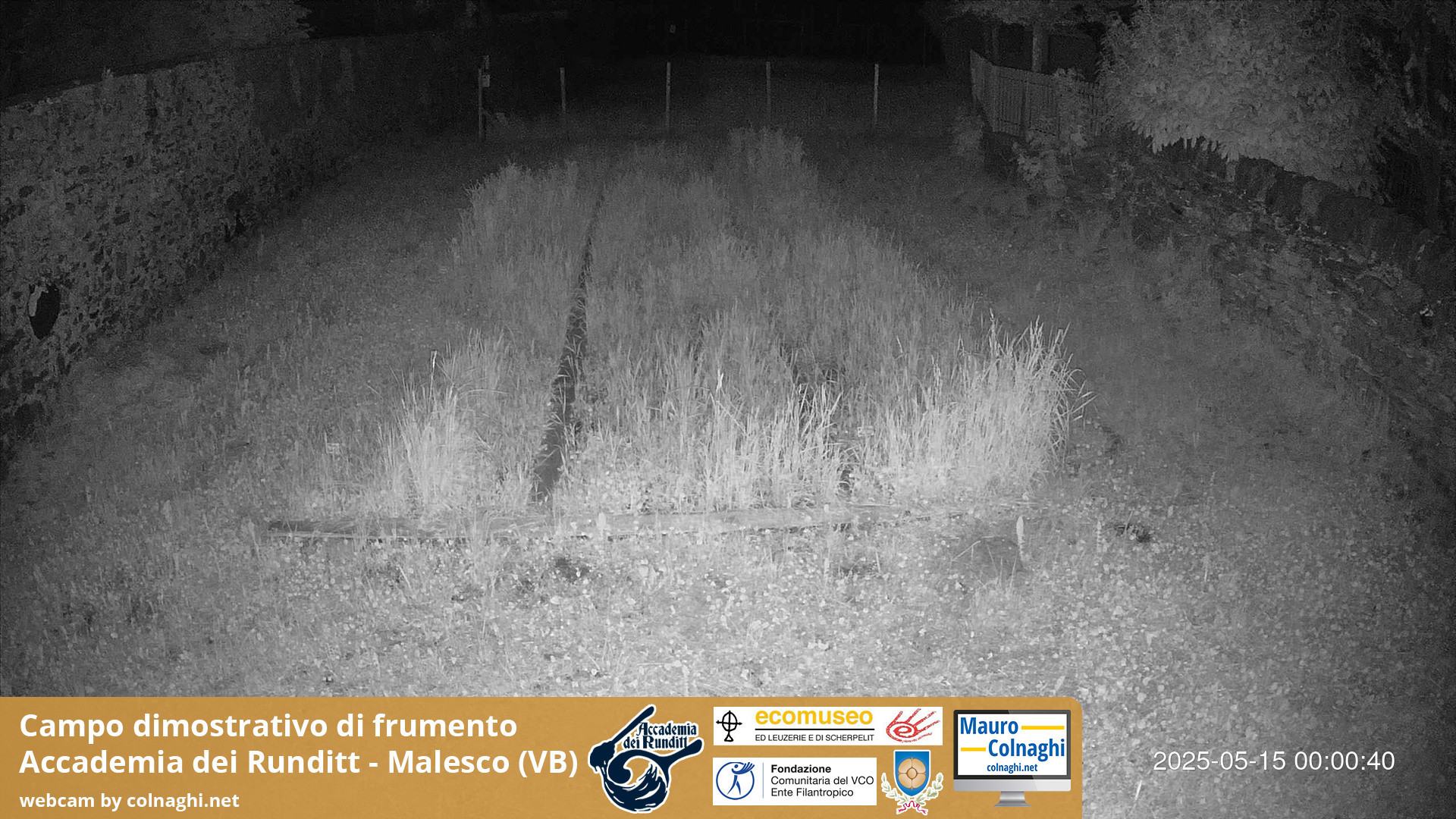 time-lapse frame, Grano webcam