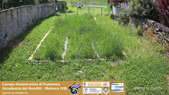 view from Grano on 2025-05-21