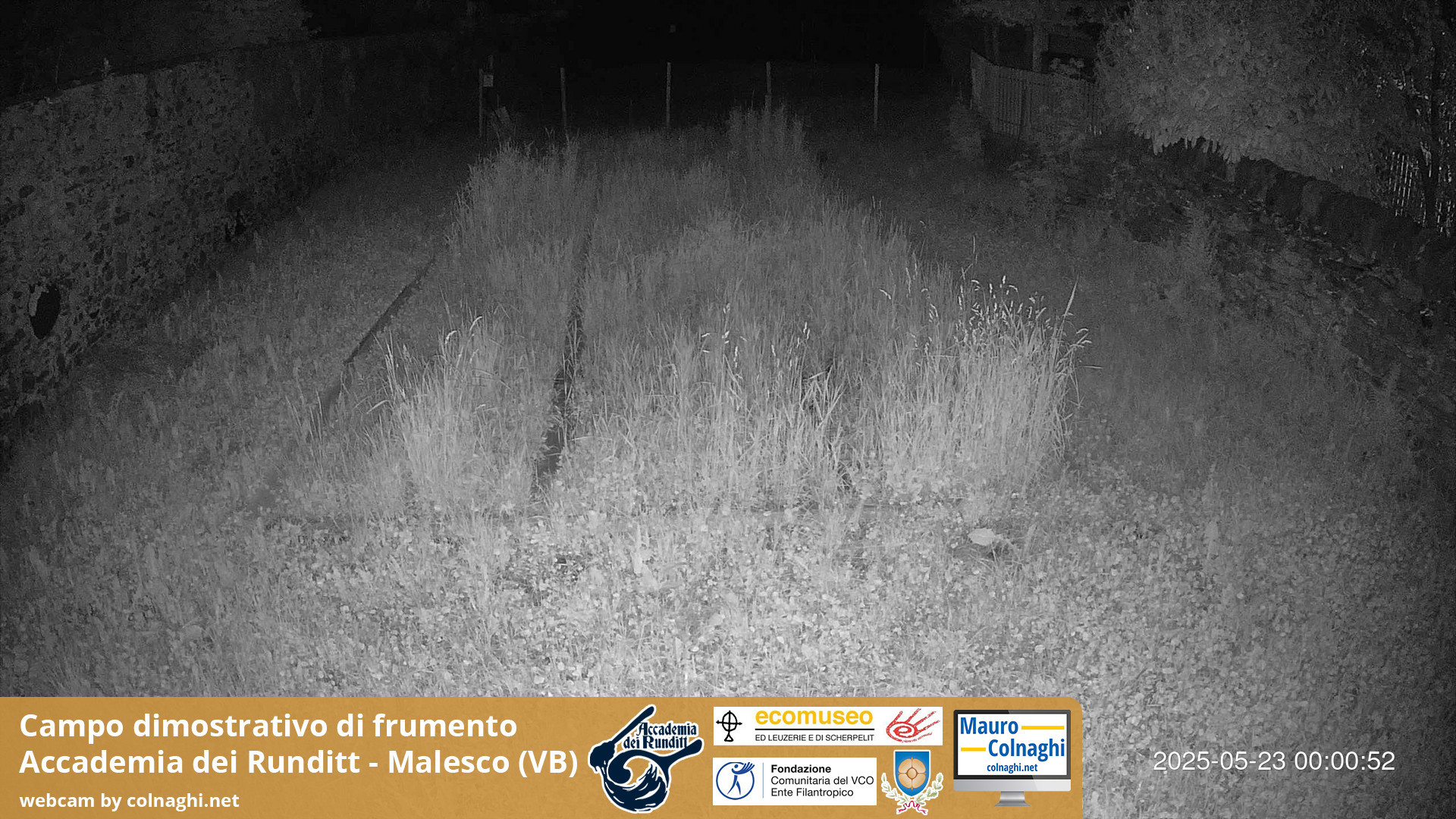 time-lapse frame, Grano webcam