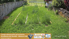 view from Grano on 2025-05-25