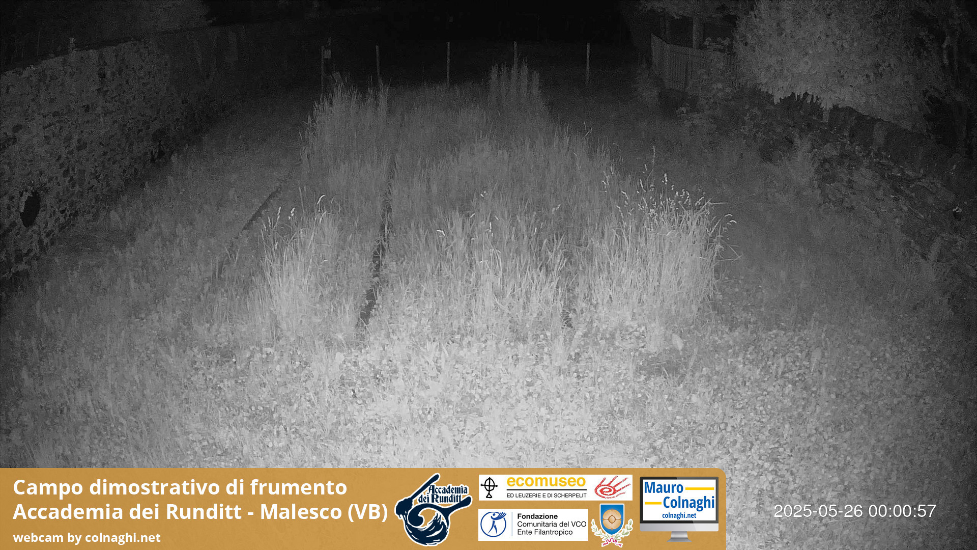 time-lapse frame, Grano webcam