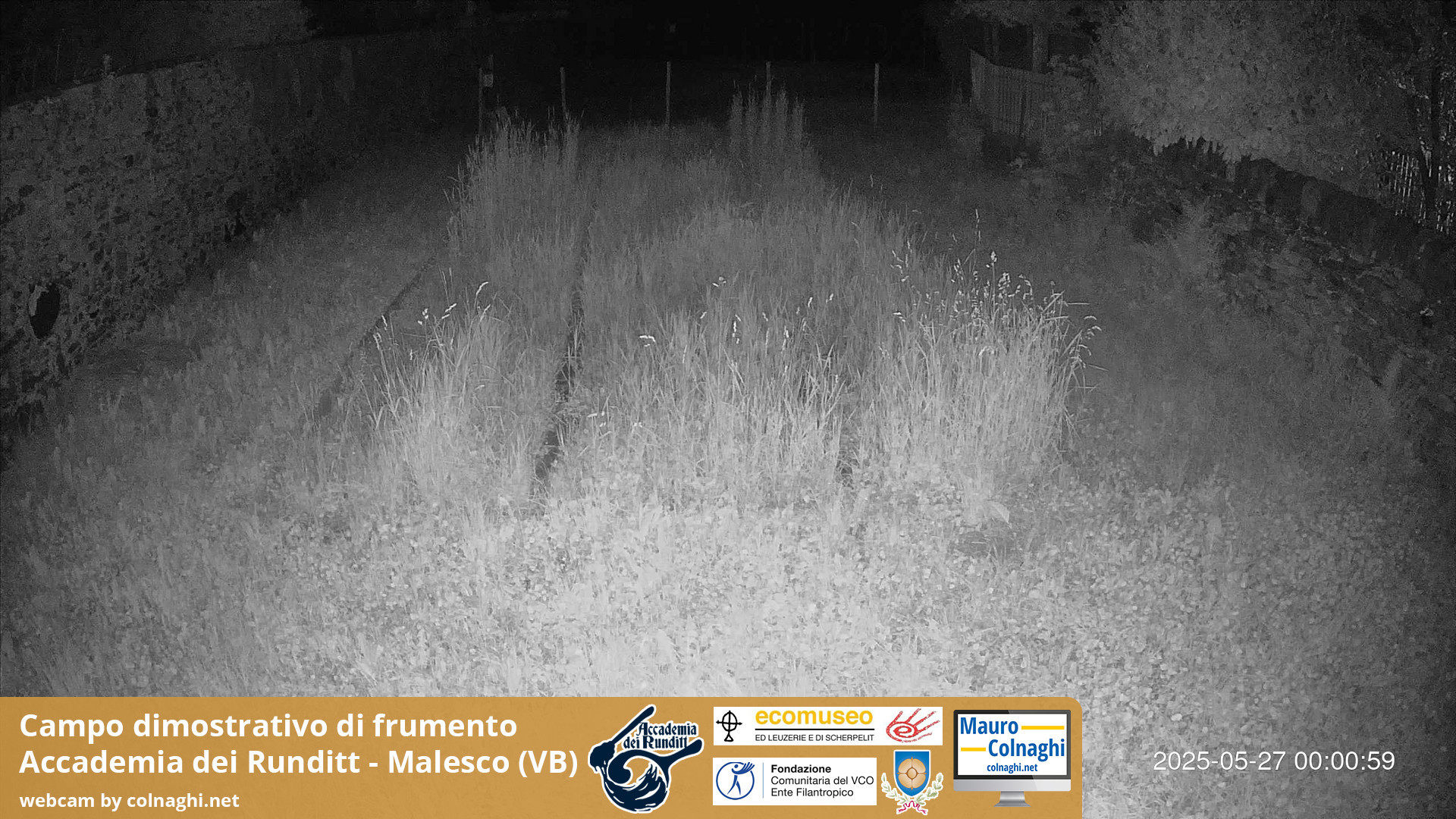 time-lapse frame, Grano webcam