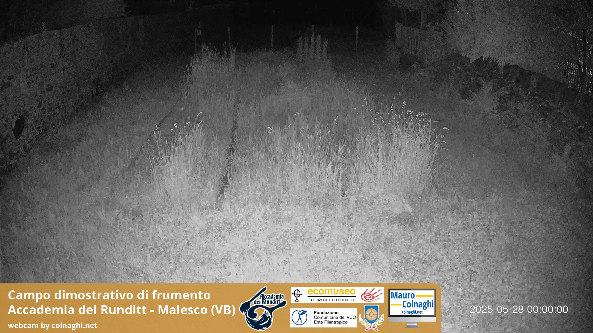 time-lapse frame, Grano webcam