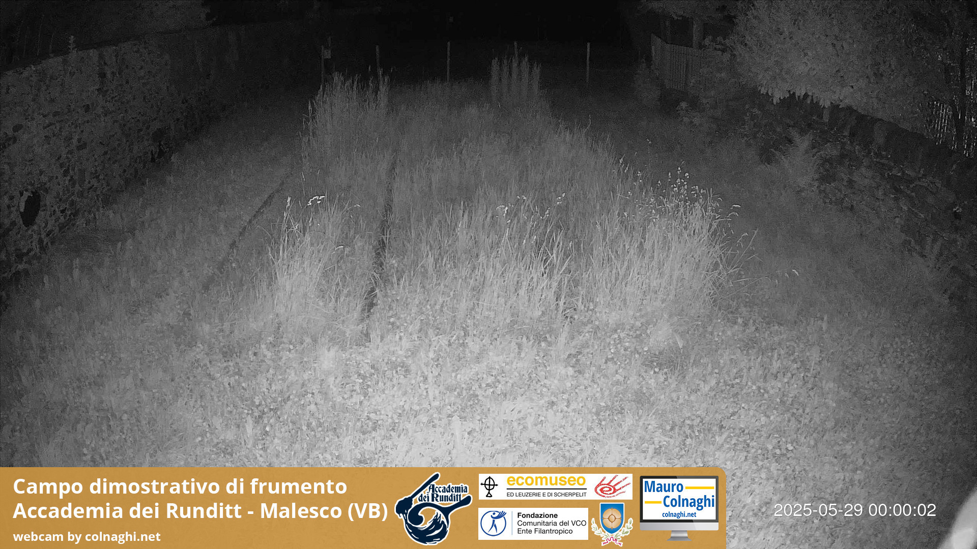 time-lapse frame, Grano webcam