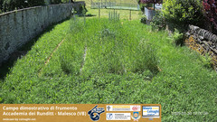 view from Grano on 2025-05-30