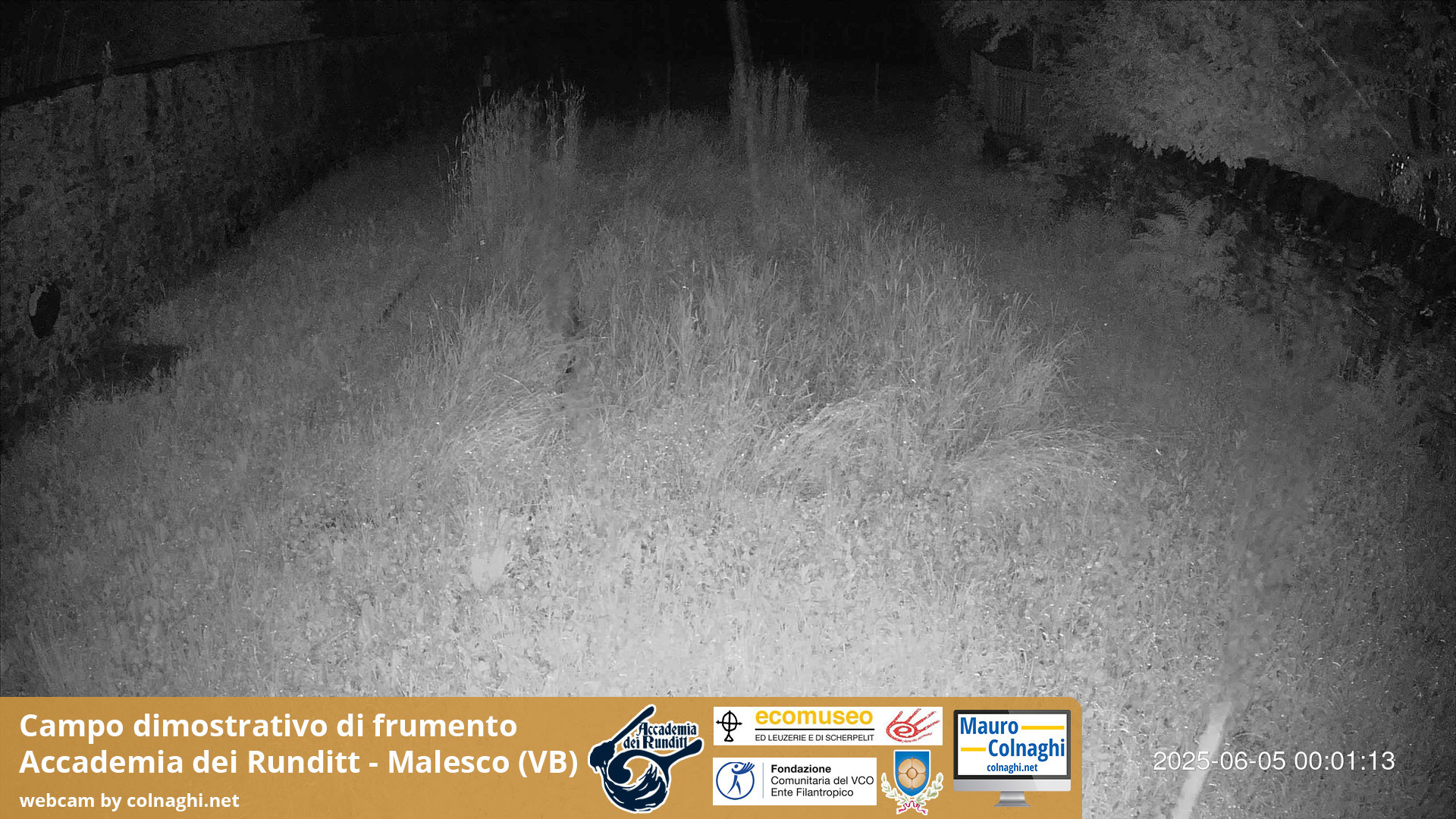 time-lapse frame, Grano webcam