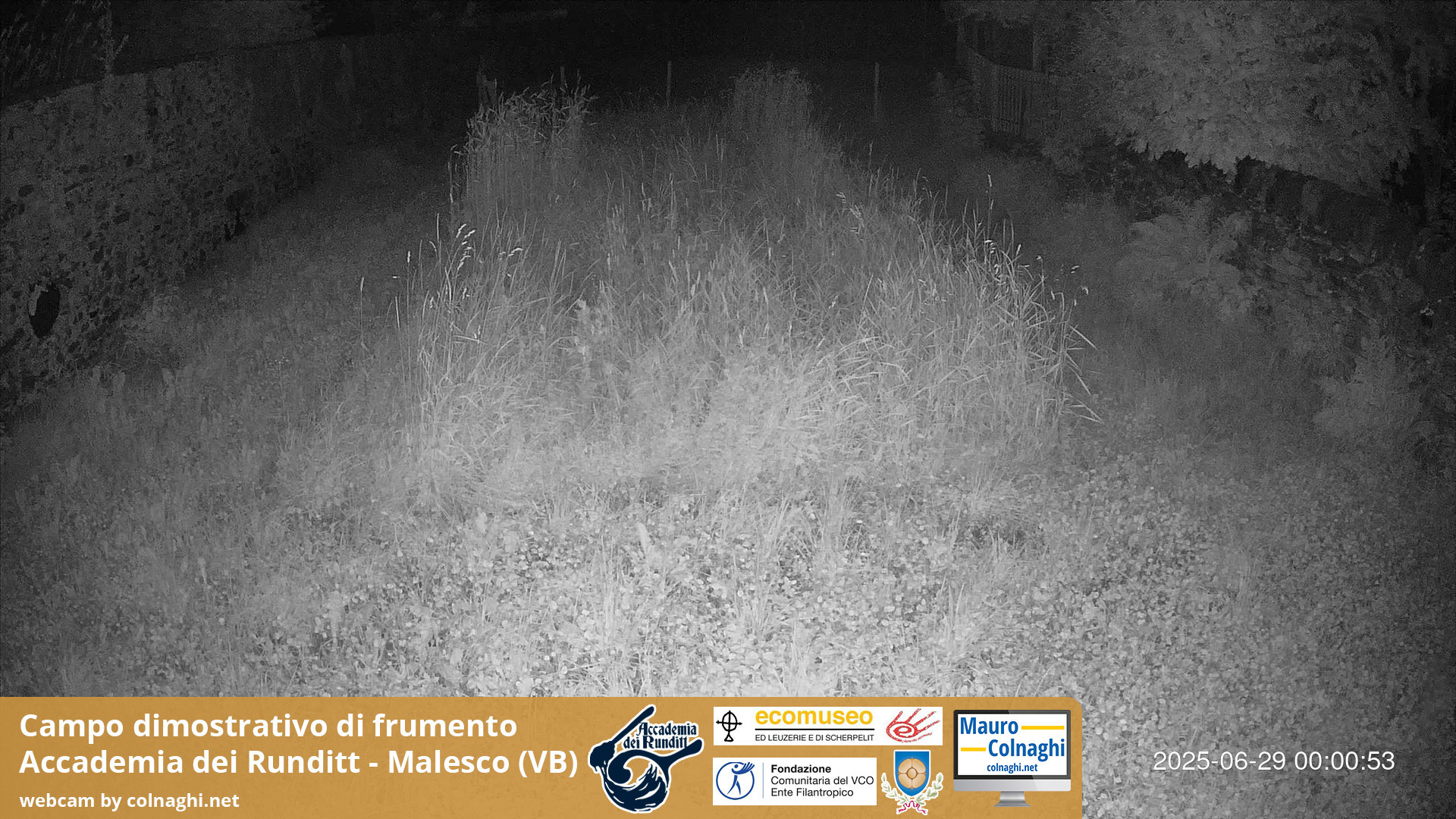 time-lapse frame, Grano webcam