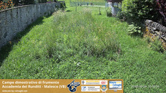 view from Grano on 2025-06-29