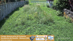view from Grano on 2025-07-04