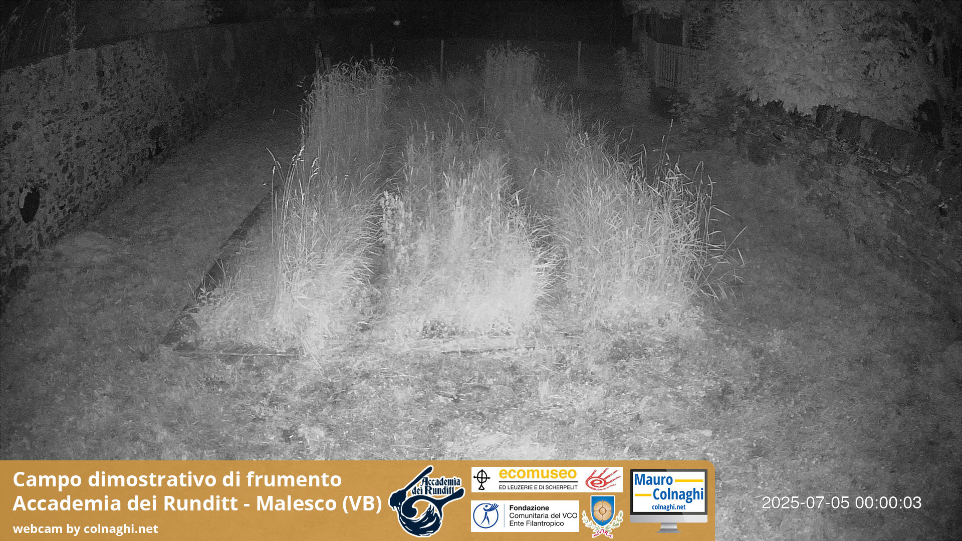 time-lapse frame, Grano webcam