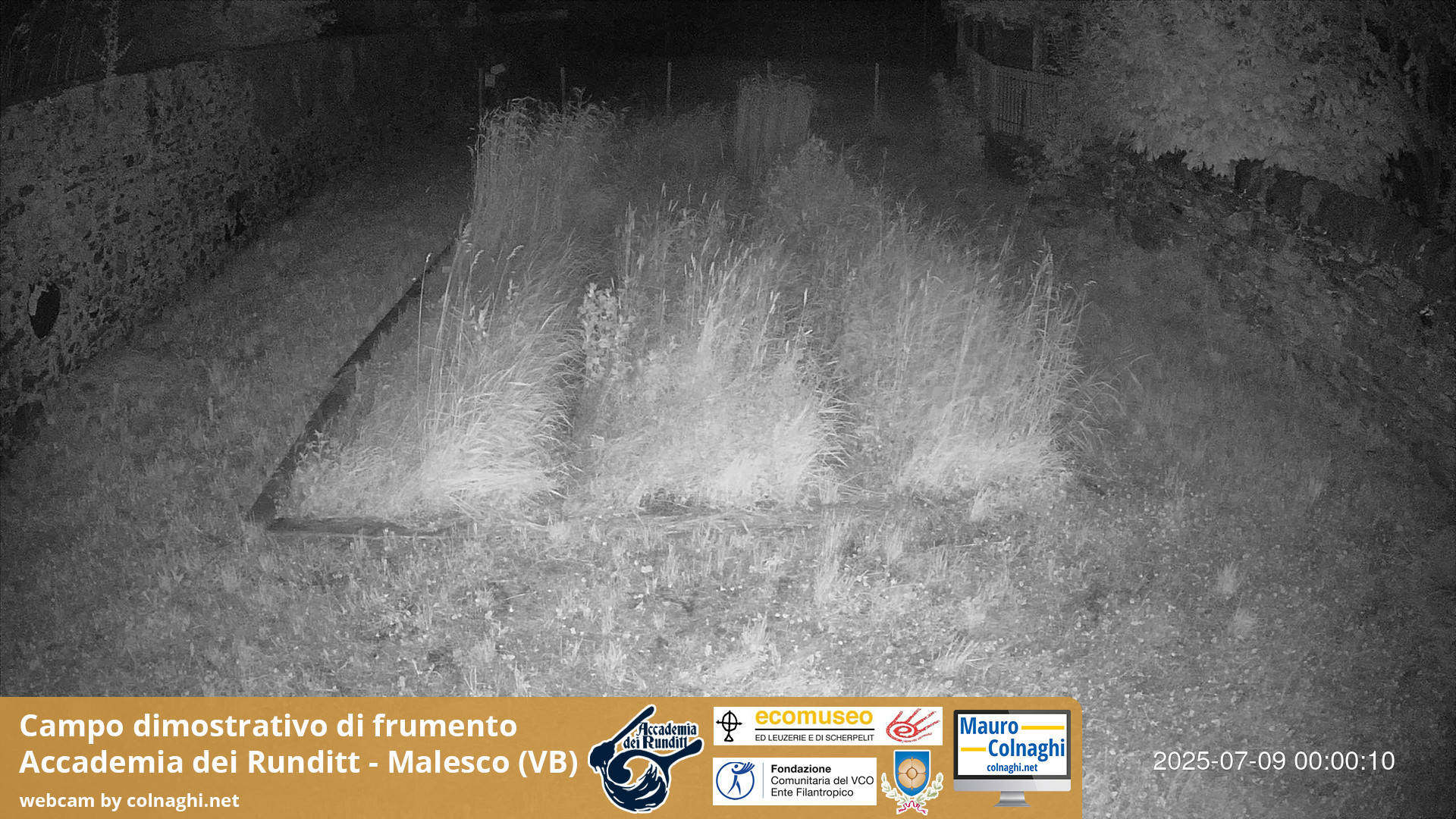 time-lapse frame, Grano webcam