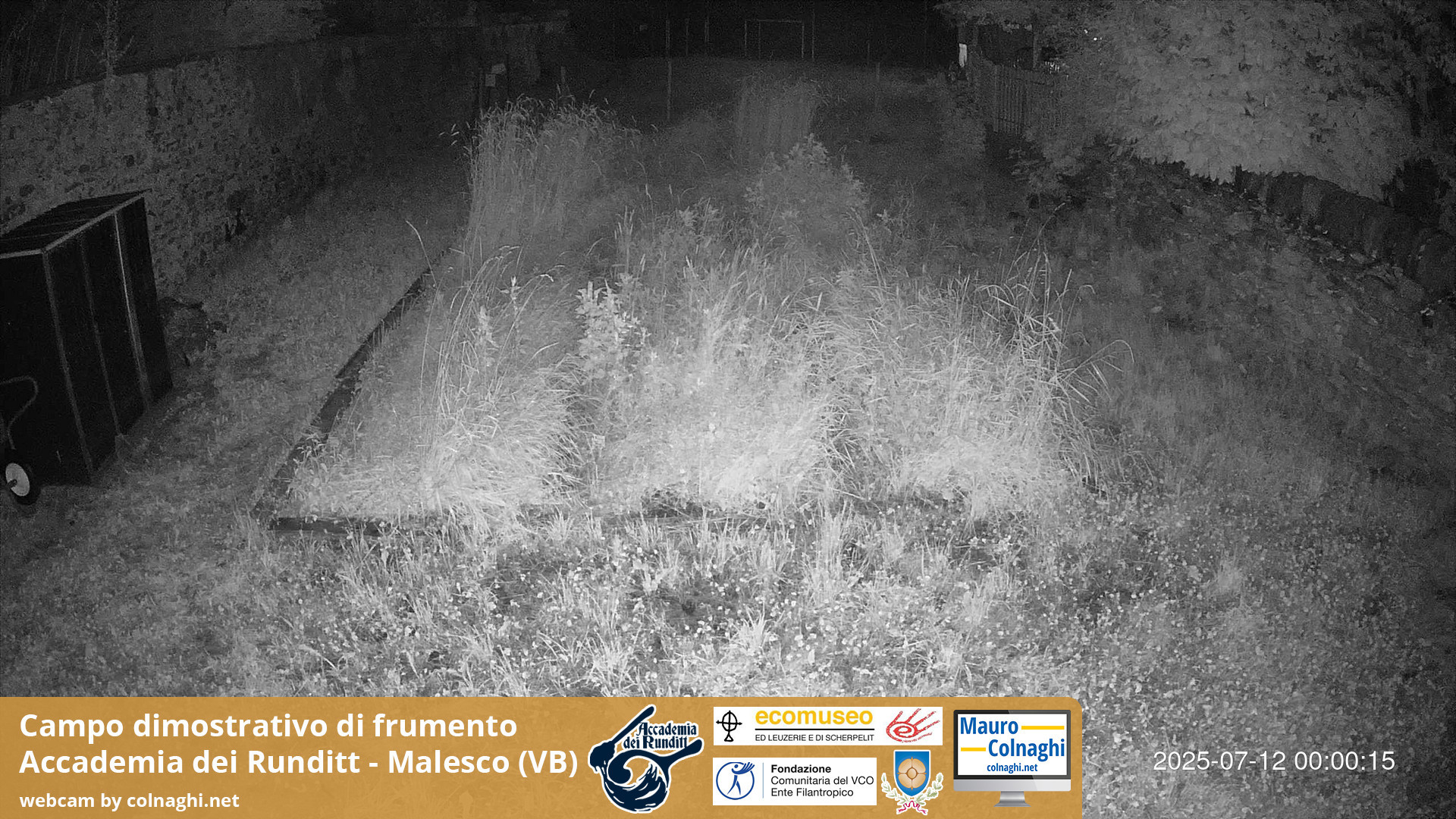 time-lapse frame, Grano webcam