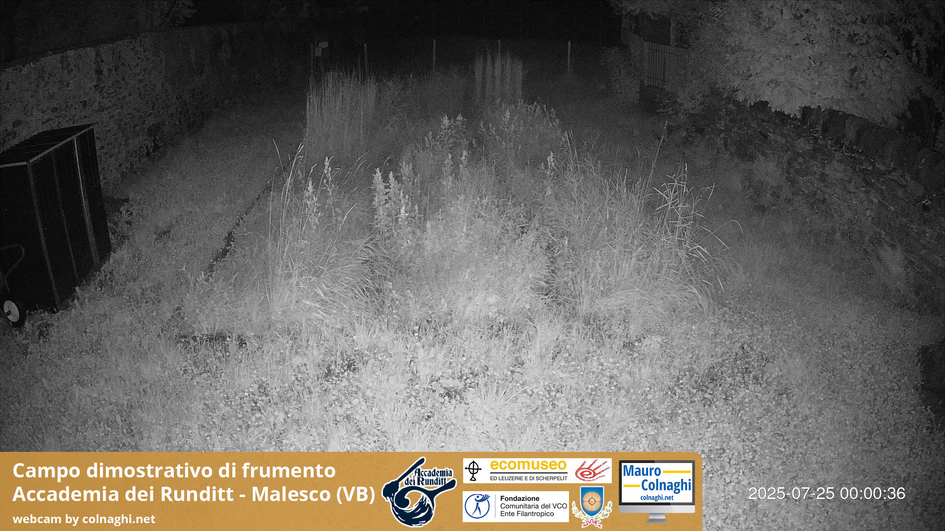 time-lapse frame, Grano webcam