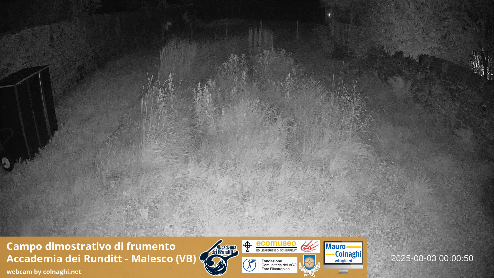 time-lapse frame, Grano webcam