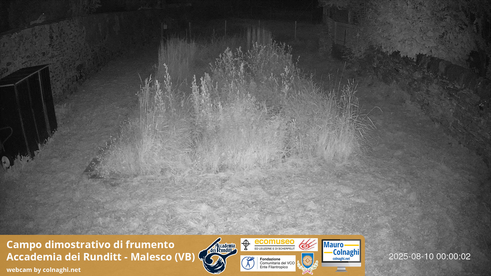 time-lapse frame, Grano webcam