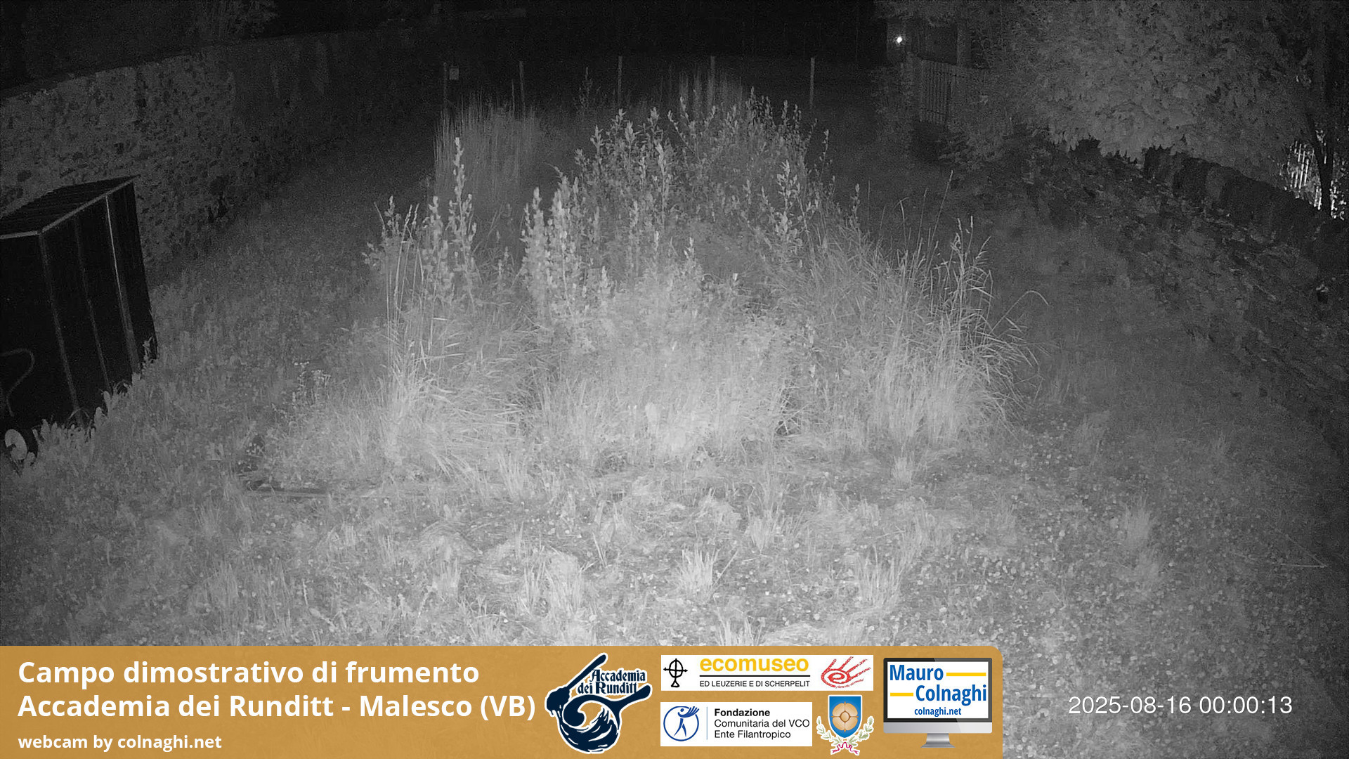 time-lapse frame, Grano webcam