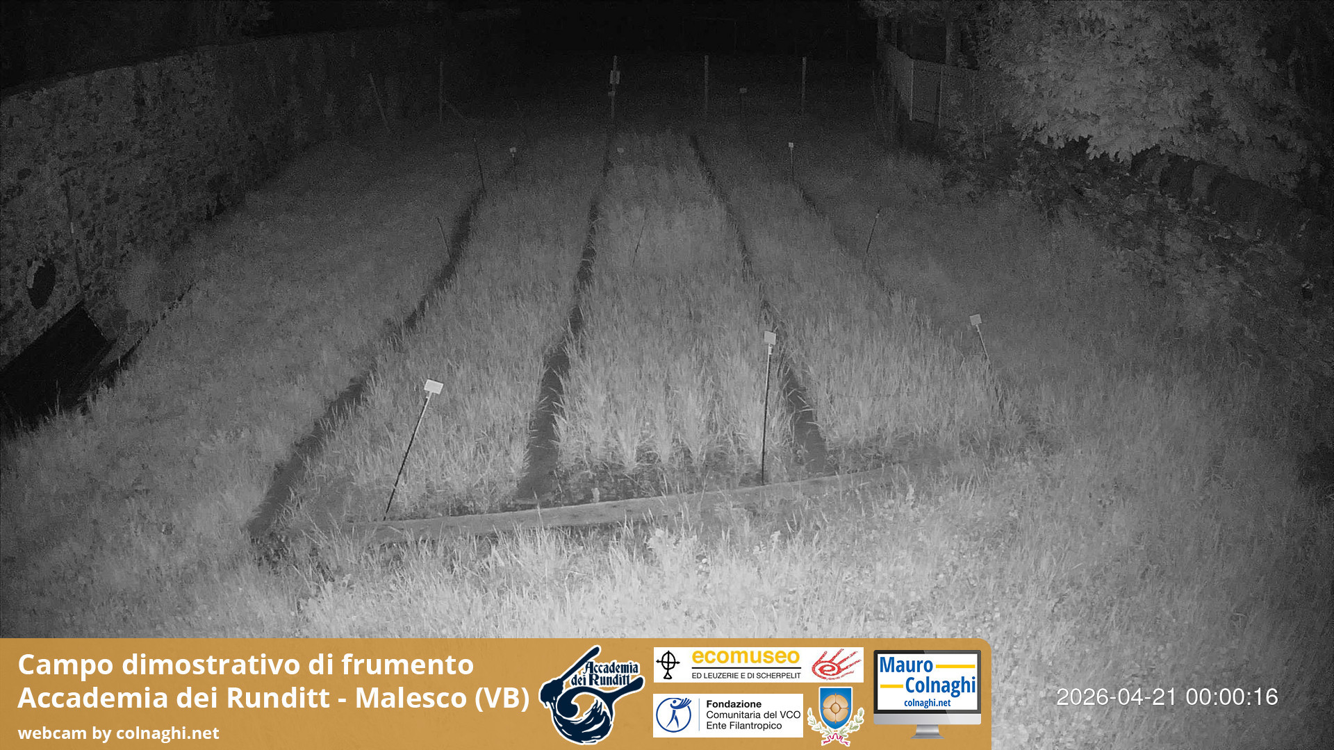 time-lapse frame, Grano webcam