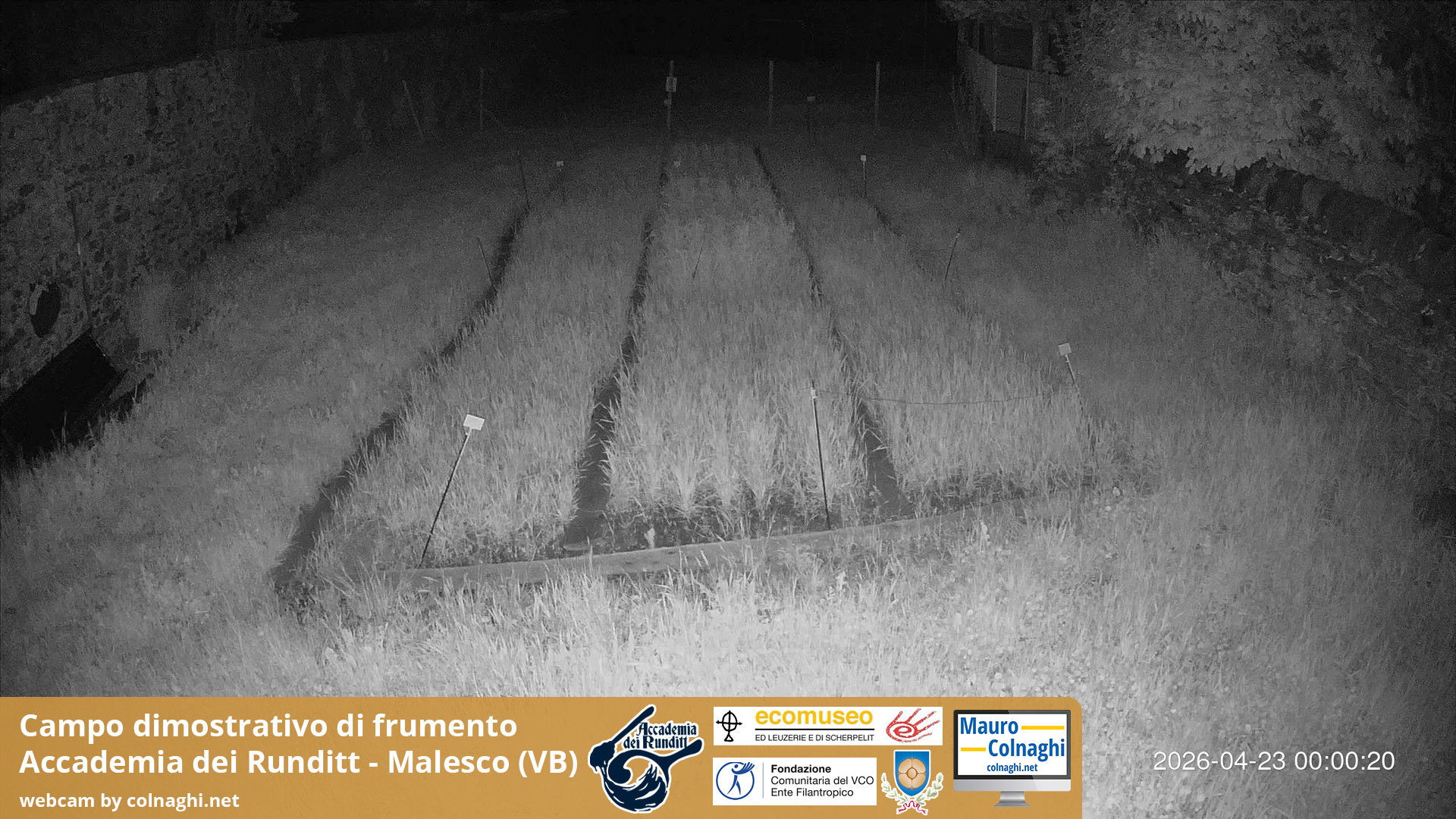 time-lapse frame, Grano webcam