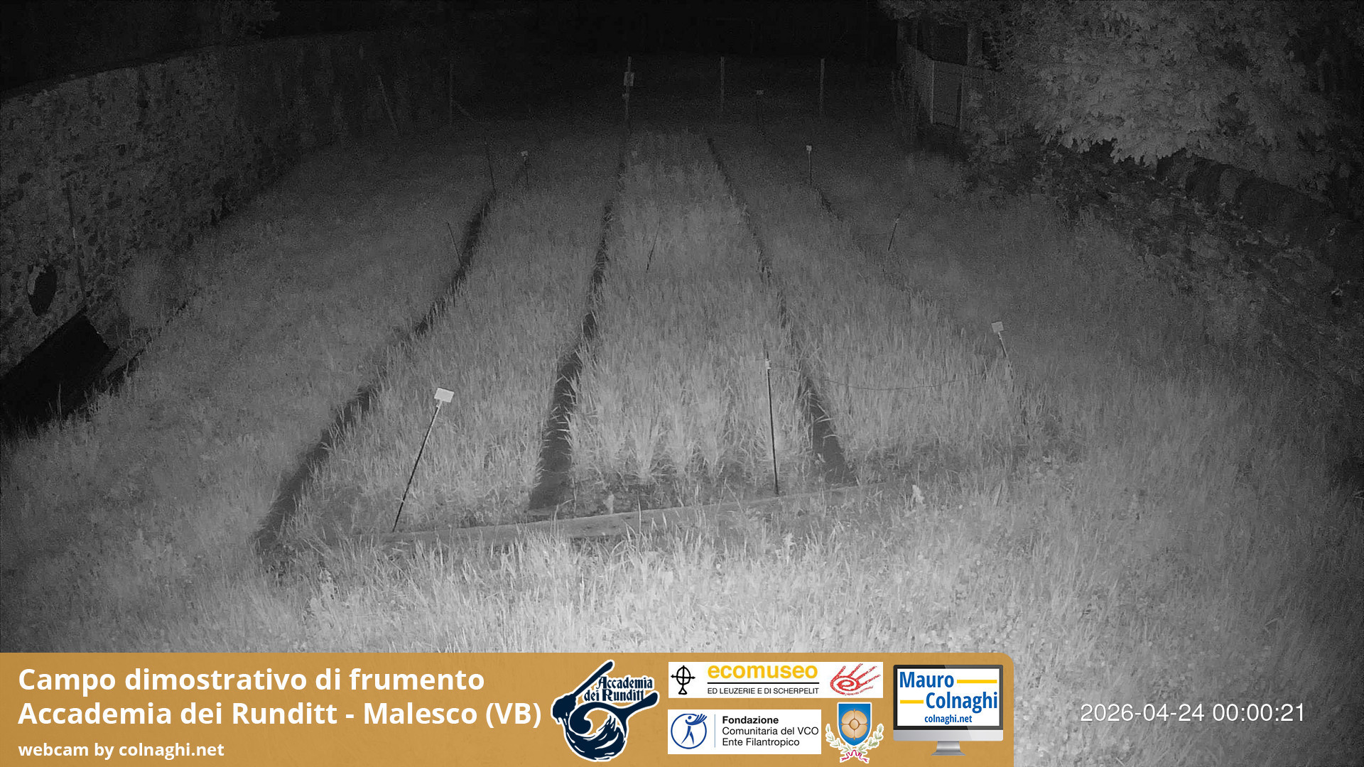 time-lapse frame, Grano webcam