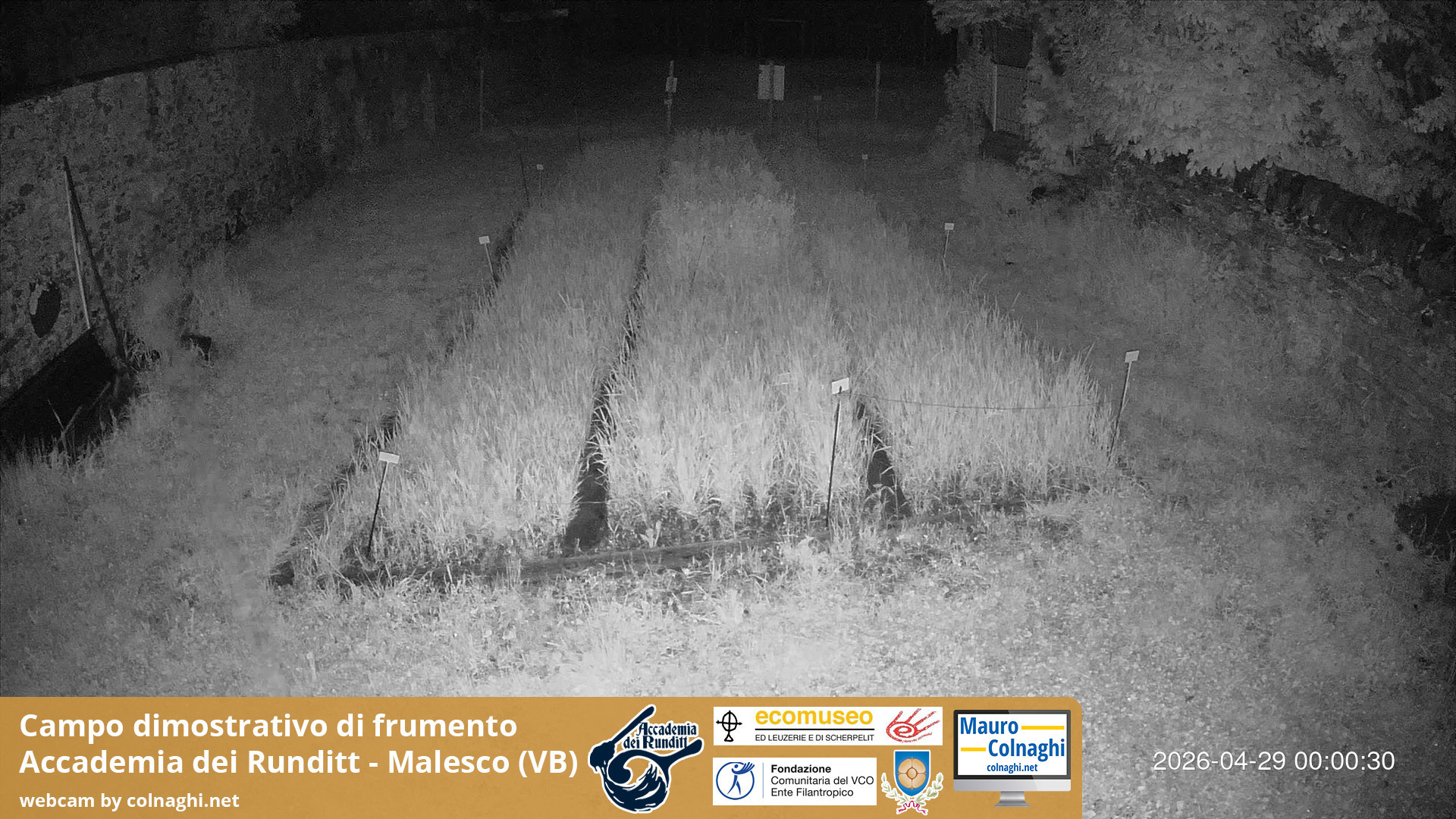 time-lapse frame, Grano webcam