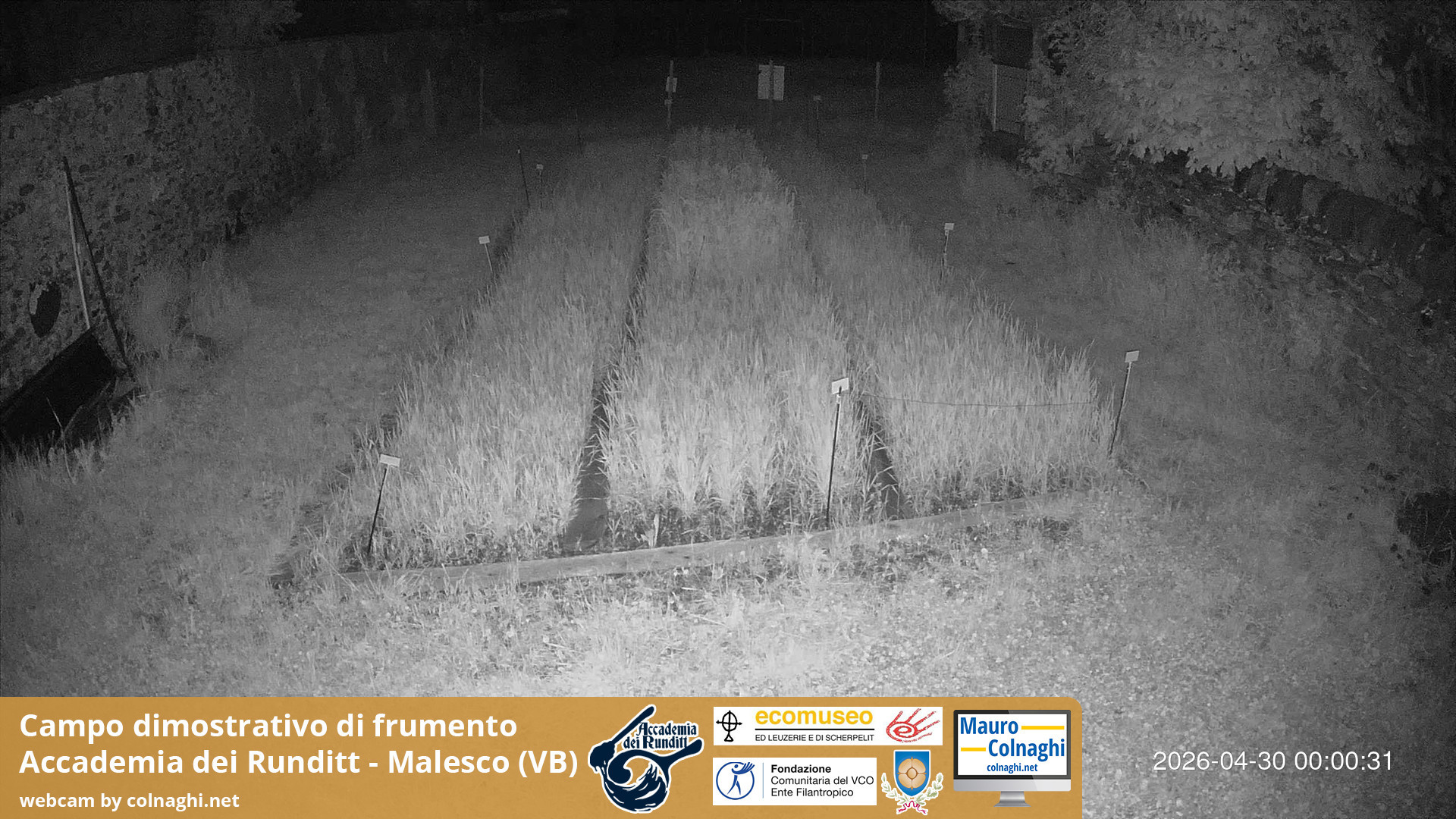time-lapse frame, Grano webcam