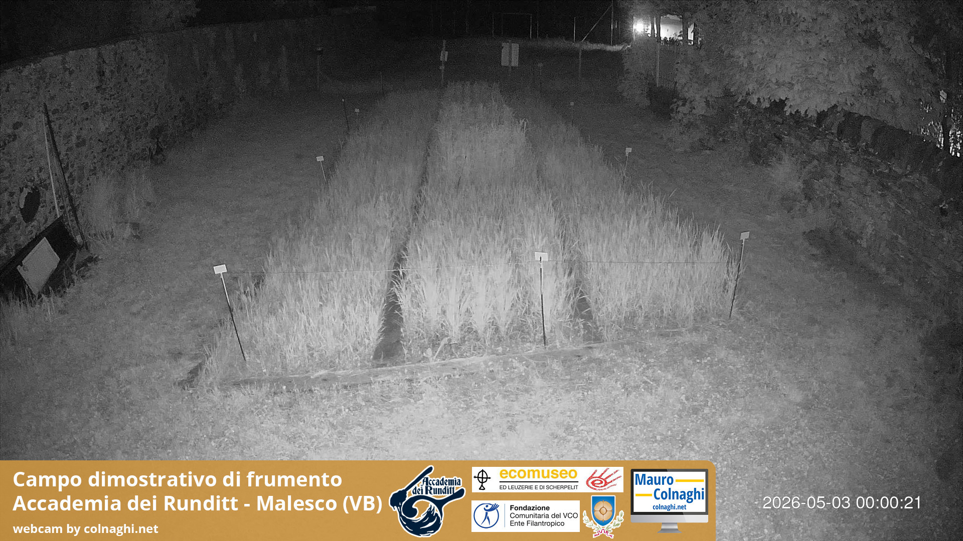 time-lapse frame, Grano webcam