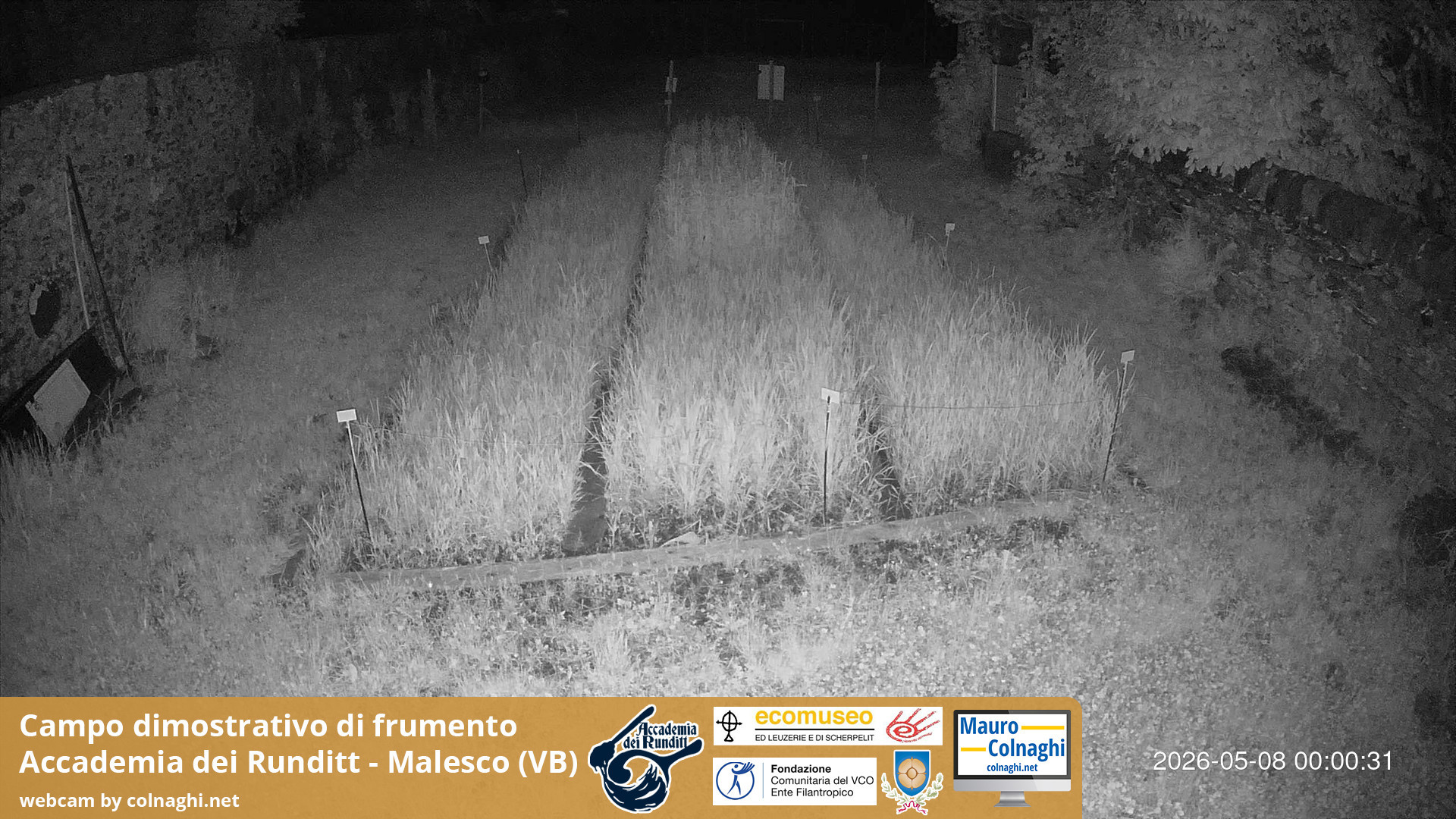 time-lapse frame, Grano webcam