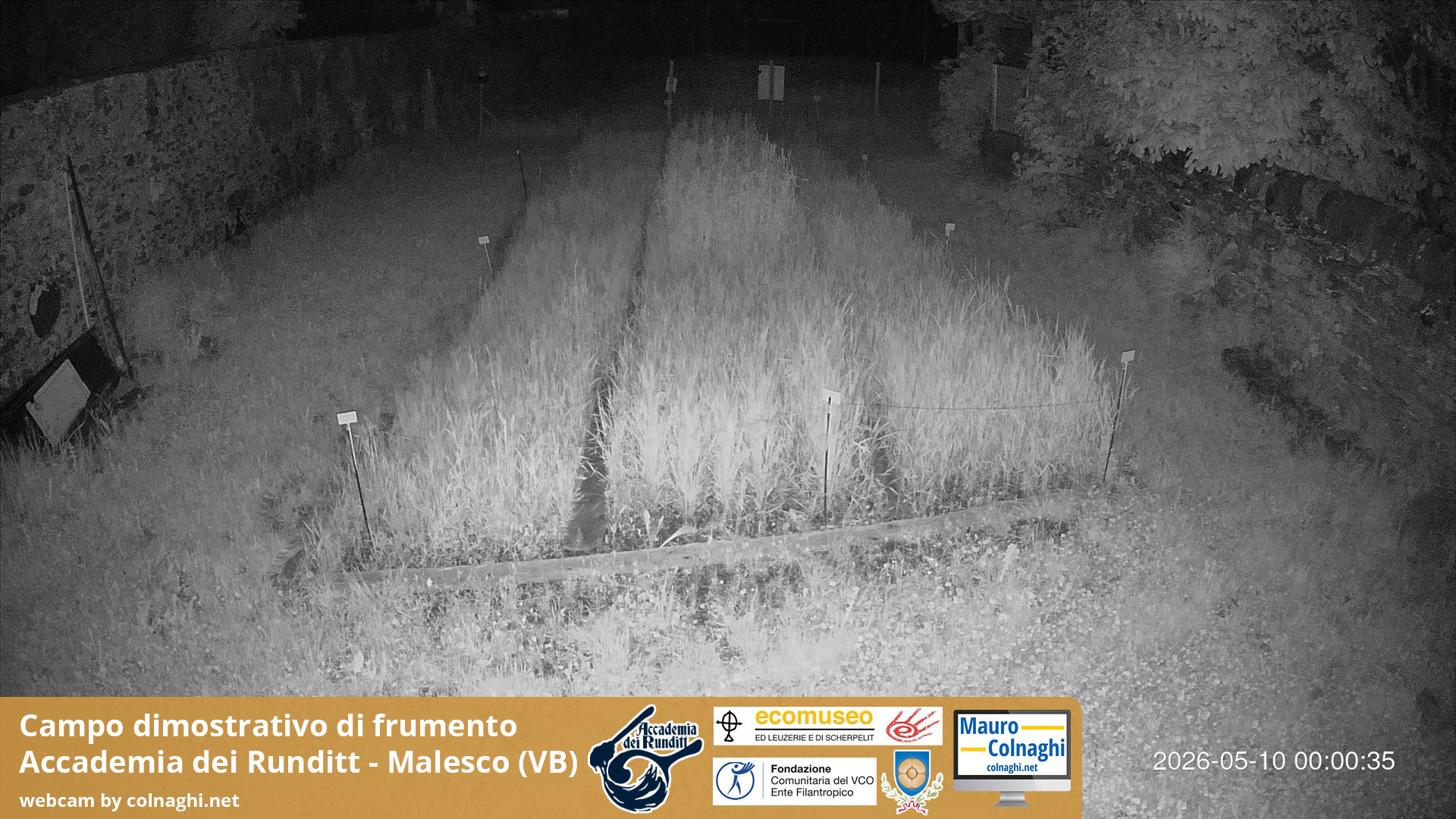time-lapse frame, Grano webcam