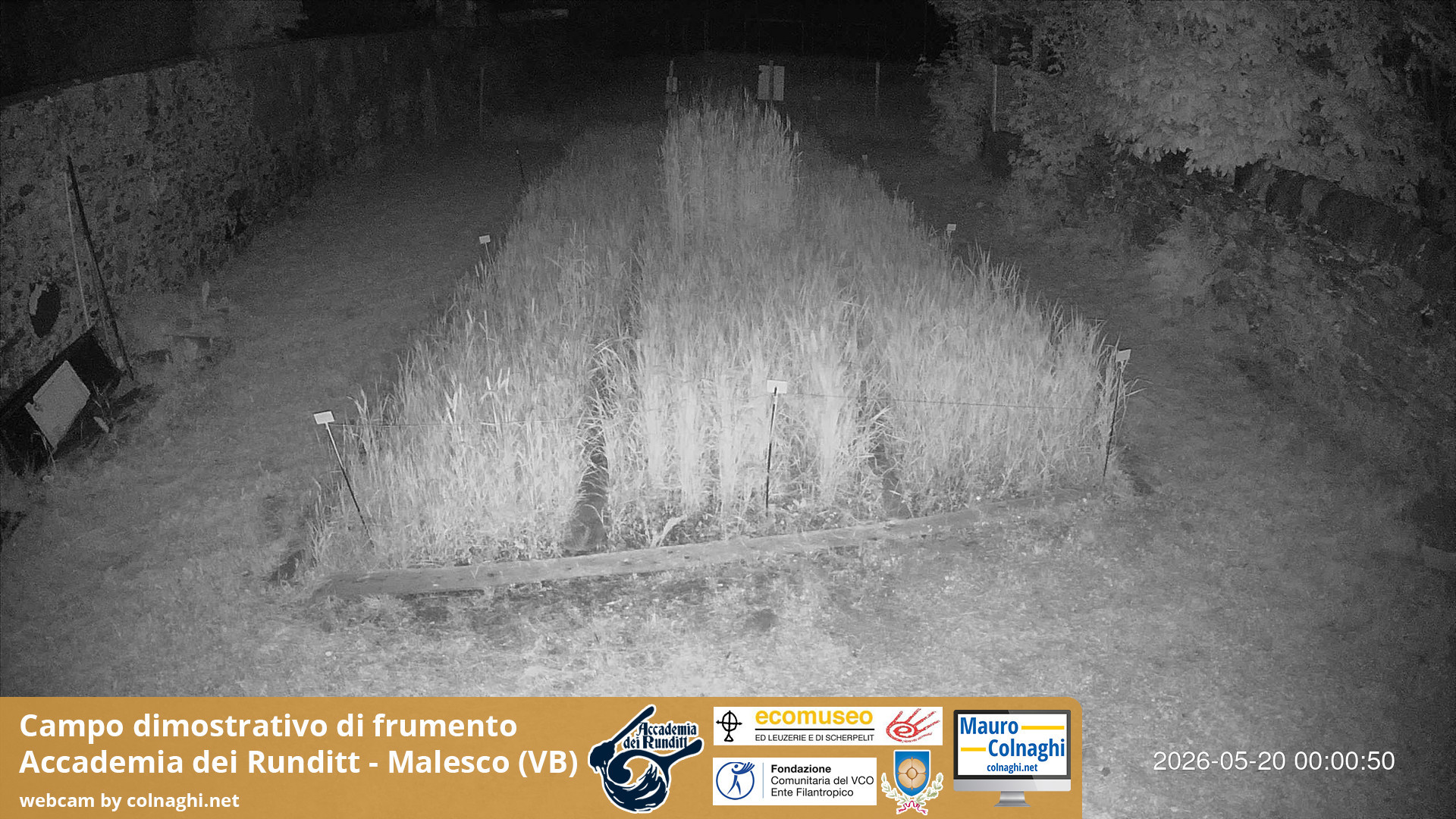 time-lapse frame, Grano webcam