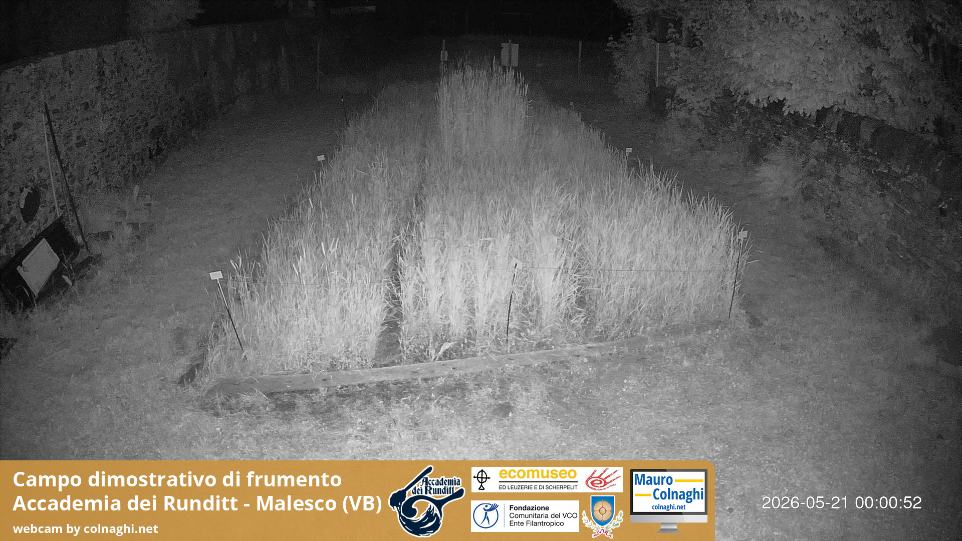time-lapse frame, Grano webcam