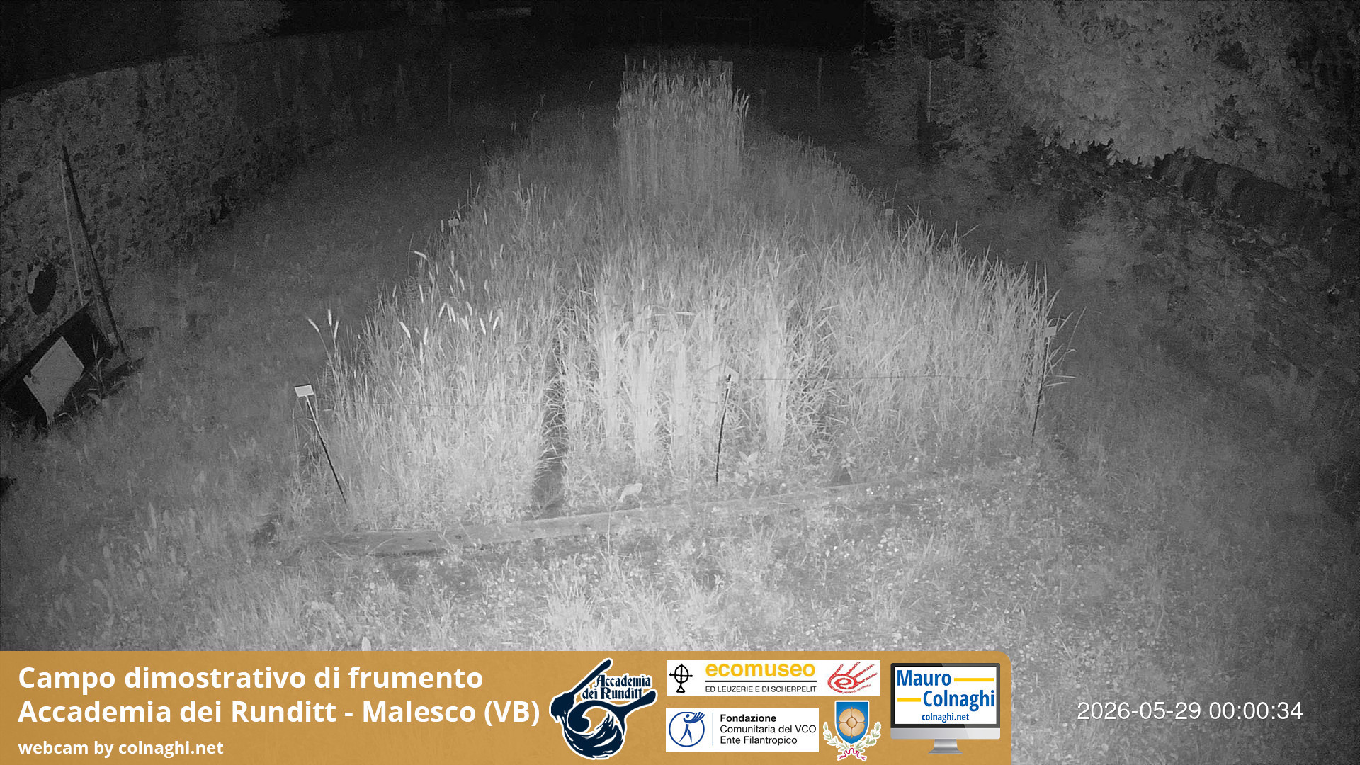 time-lapse frame, Grano webcam