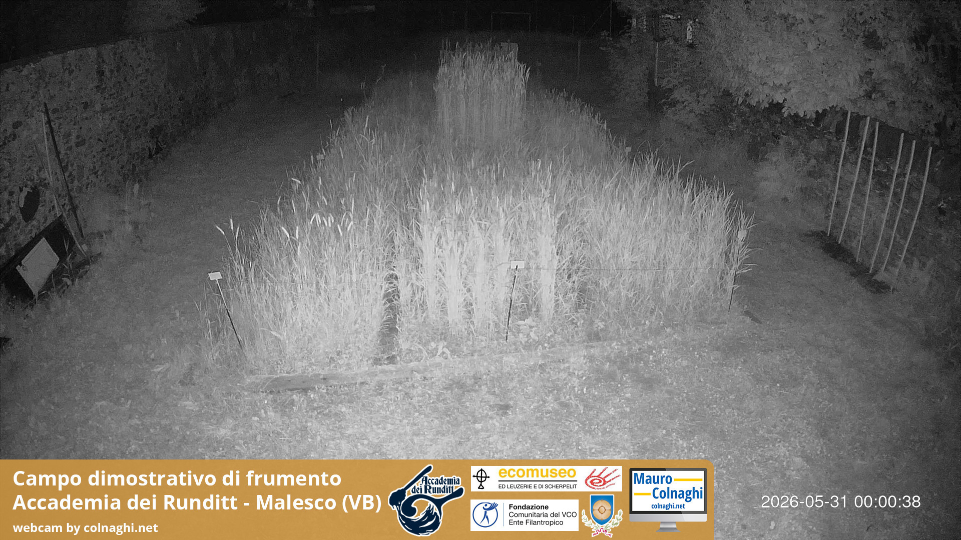 time-lapse frame, Grano webcam