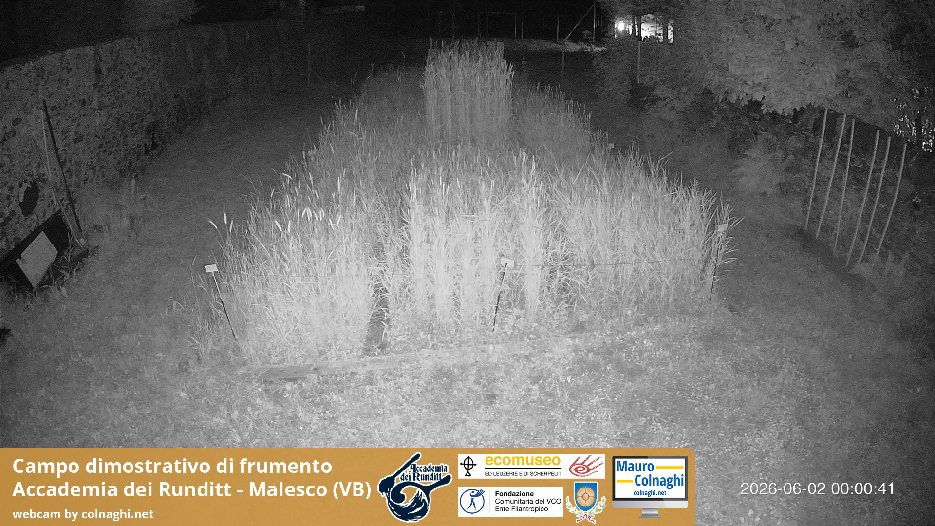 time-lapse frame, Grano webcam