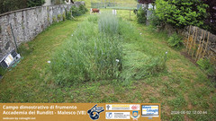 view from Grano on 2026-06-02