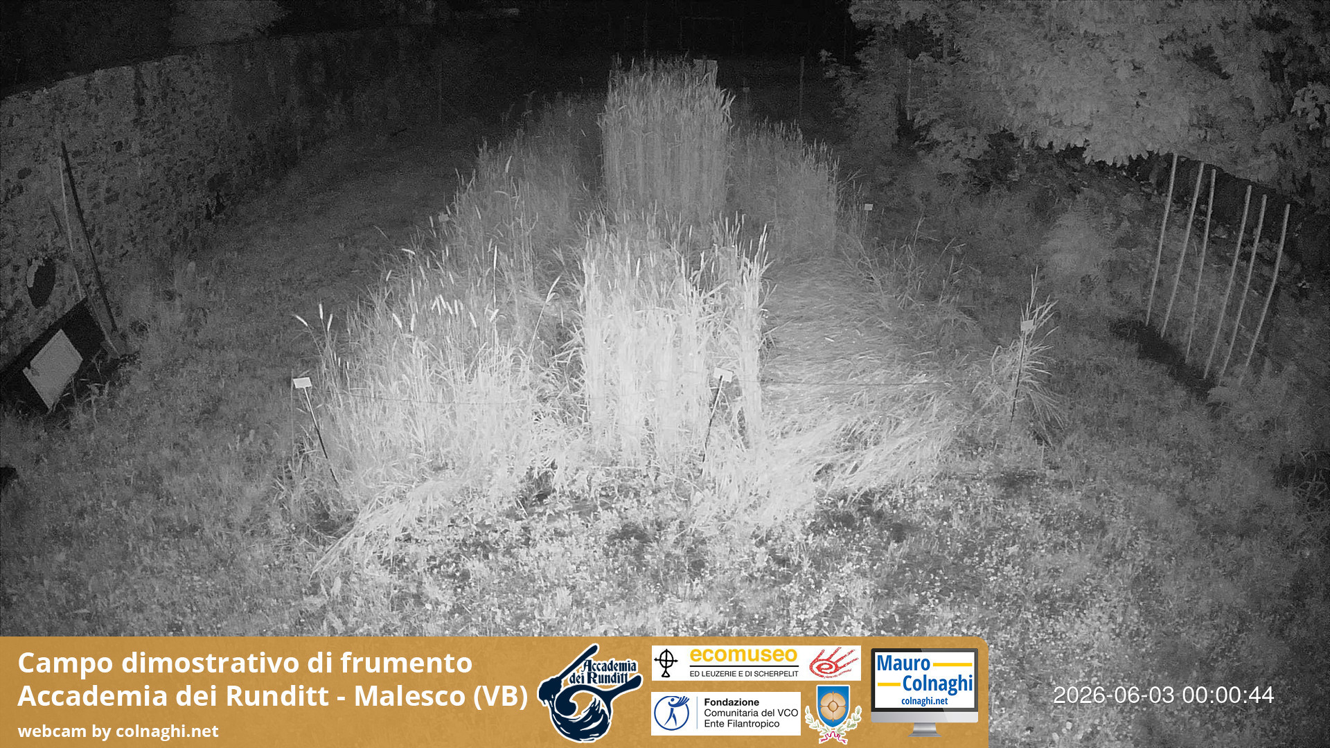 time-lapse frame, Grano webcam