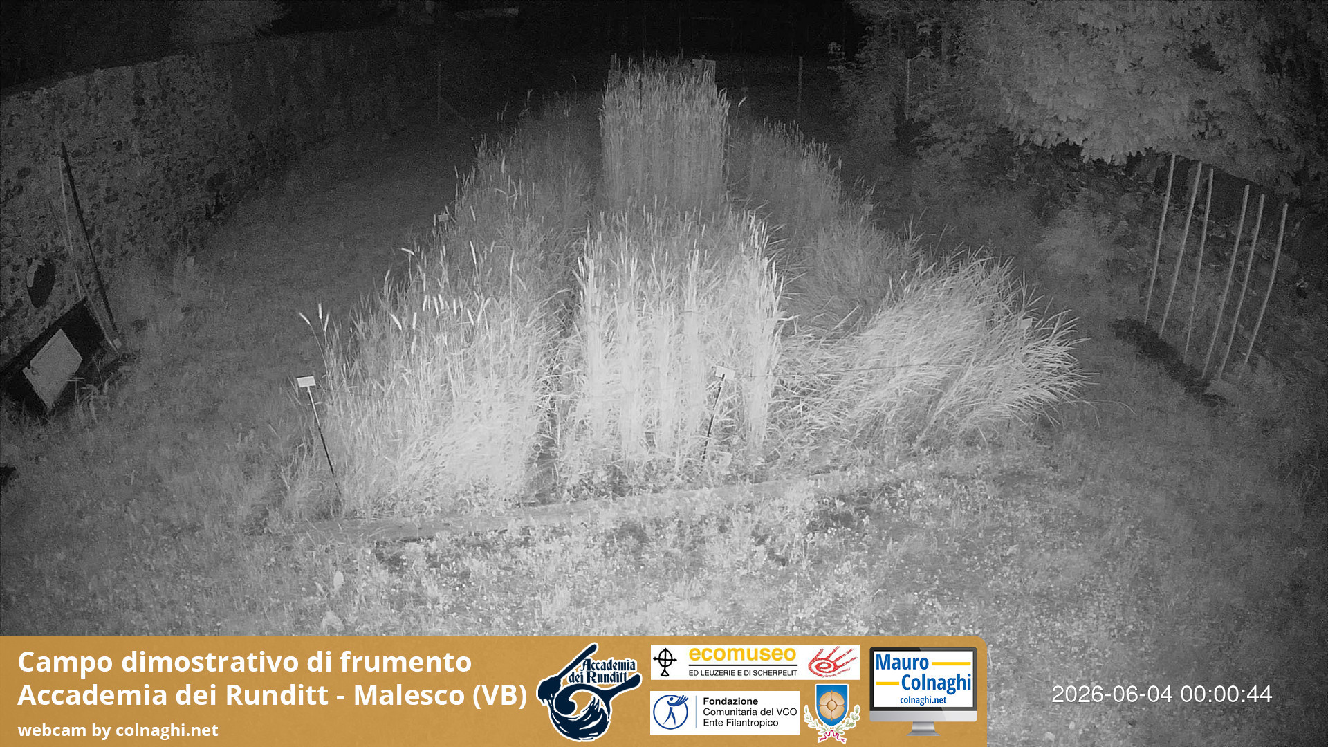 time-lapse frame, Grano webcam