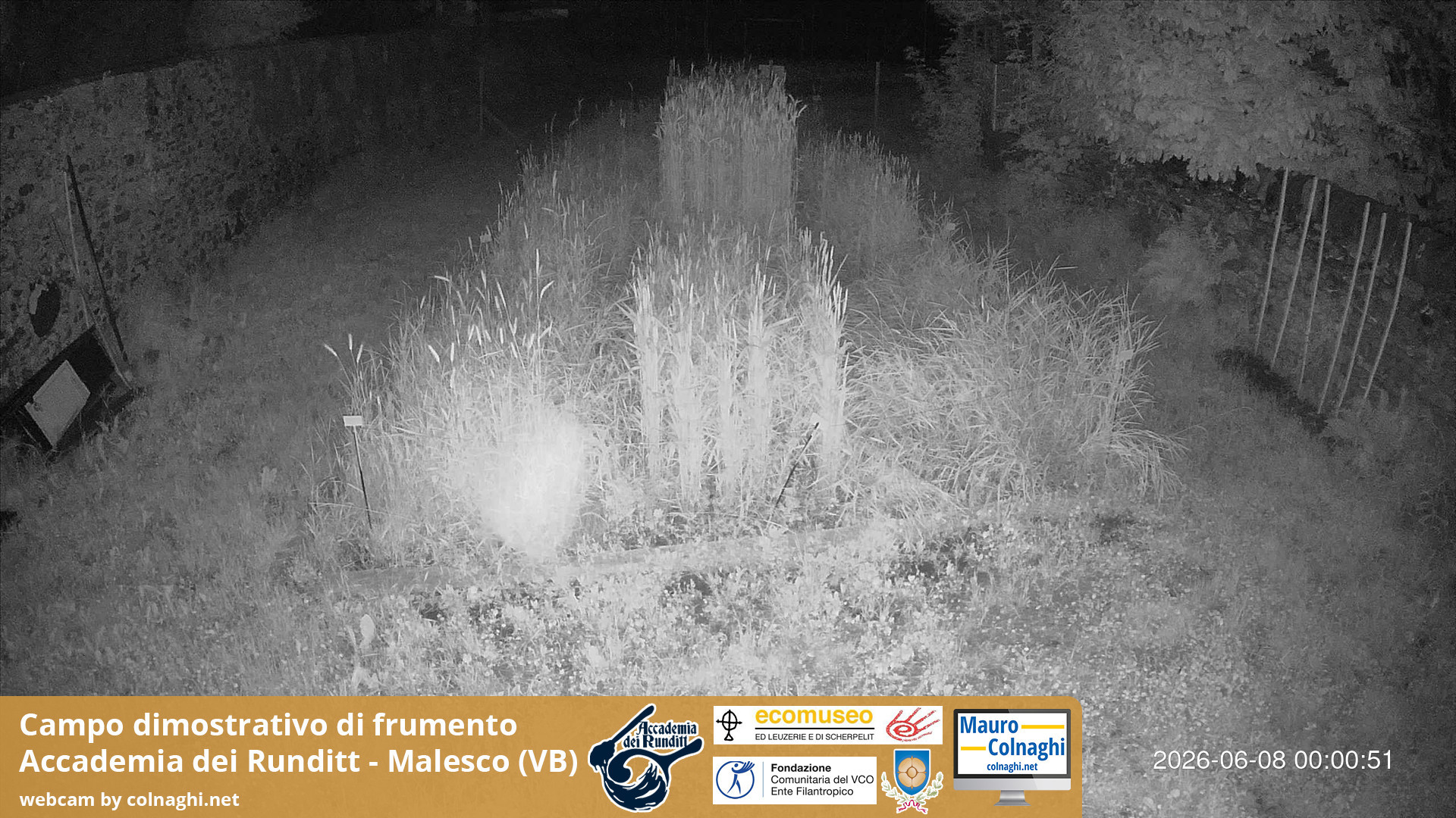 time-lapse frame, Grano webcam