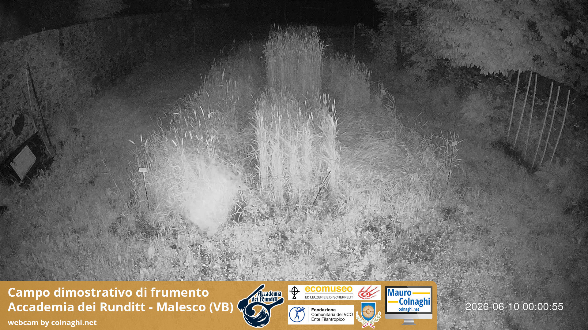 time-lapse frame, Grano webcam