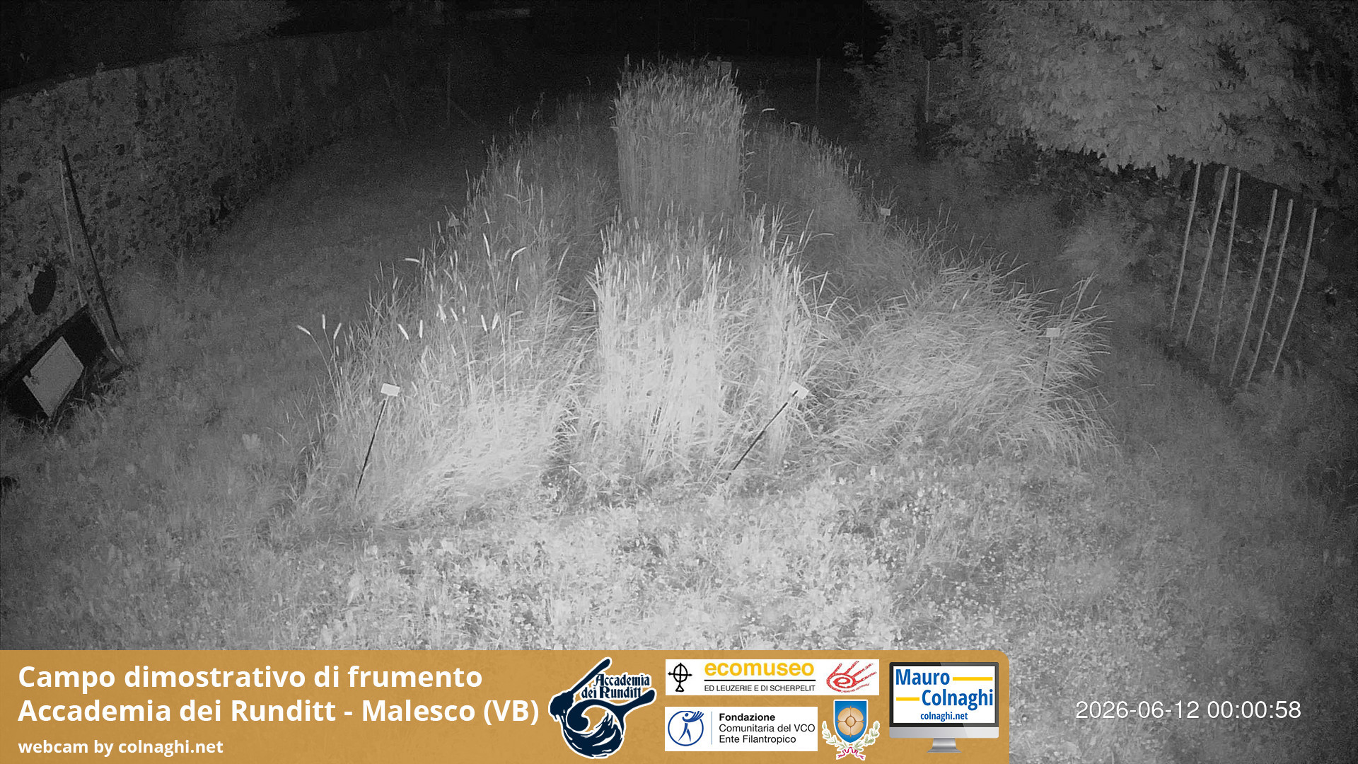time-lapse frame, Grano webcam