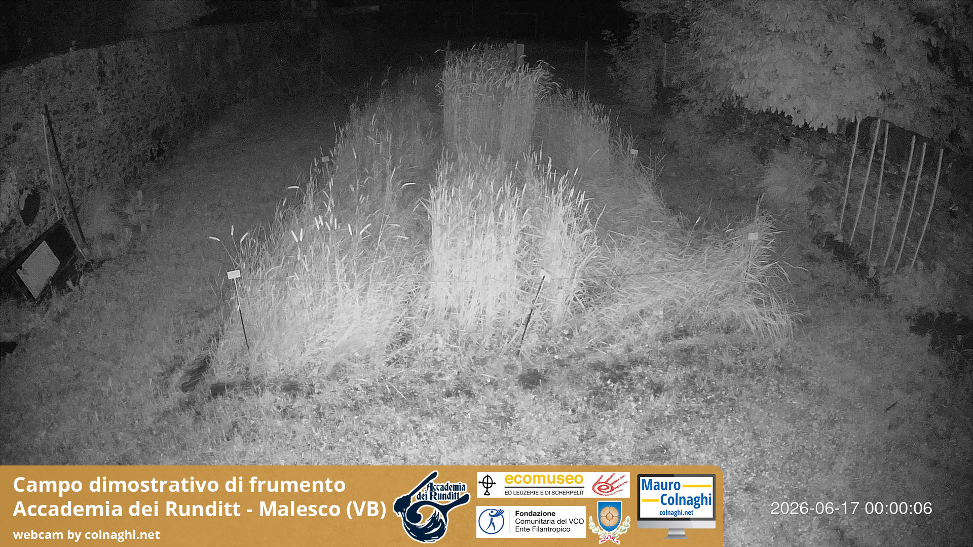 time-lapse frame, Grano webcam