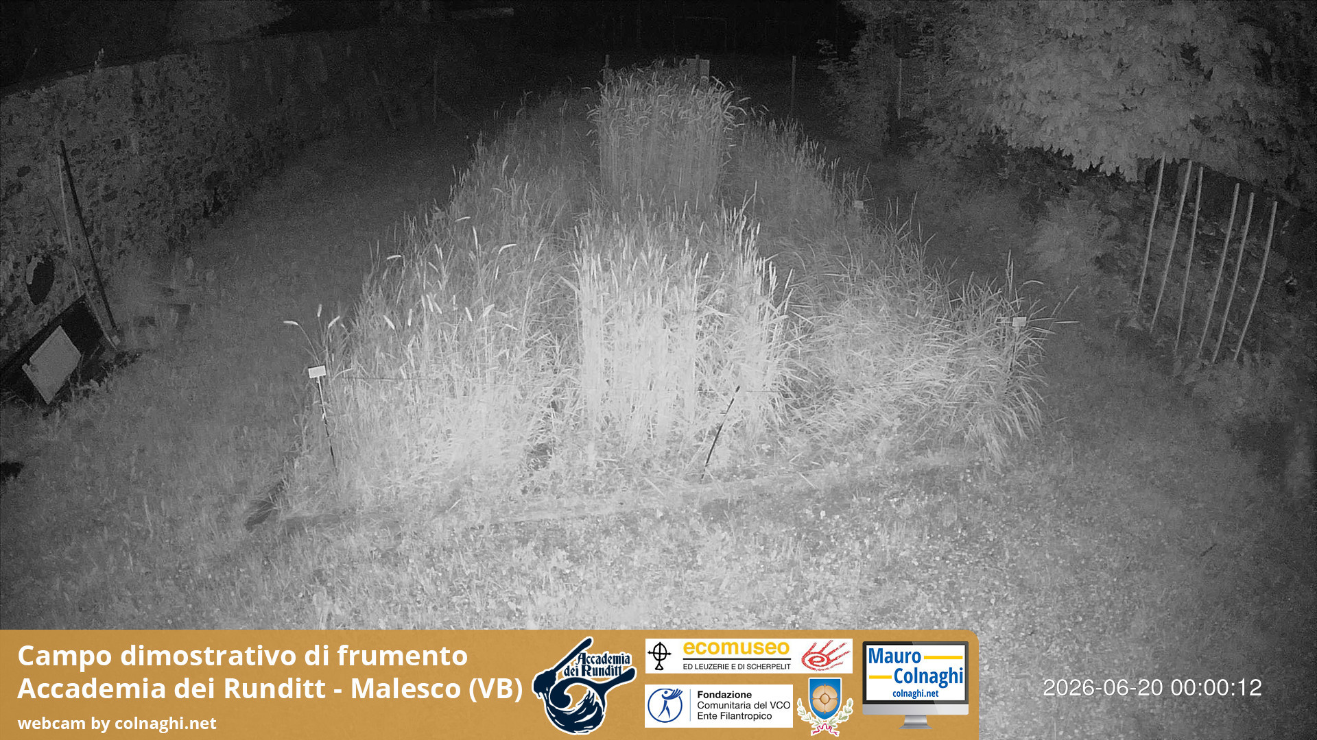 time-lapse frame, Grano webcam